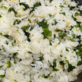 あや　ぱん's cooksnap of when they made 昔懐かしい給食のわかめごはん.