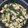 まいもぐ2020's cooksnap of when they made ホウレン草と鶏胸肉の白だしバター炒め.