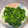 ほたるび☆'s cooksnap of when they made ターサイの花のからしマヨ和え.