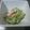 つじもとＤ's cooksnap of when they made いつも私を助けてくれる!!きゅうりサラダ.