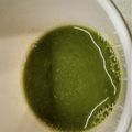 ☆ミルミル's cooksnap of when they made ホエイと青汁ドリンク.