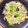♡まーちゃん♬'s cooksnap of when they made 豆腐干/豆腐皮で青梗菜と豚肉の中華炒め.