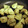 しらたまこむぎ's cooksnap of when they made 揚げ焼き青のり新じゃが.