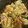 105♡'s cooksnap of when they made さば缶と春キャベツのカレーマヨ野菜炒め.