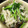 milsalud's cooksnap of when they made きのこと三つ葉の白だし和え.