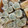 クックZTZ10H☆'s cooksnap of when they made お弁当の定番！ごぼうの肉巻き.