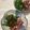 明日の風☆'s cooksnap of when they made ほたるいかの酢味噌和え（基本の酢味噌）.
