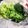 ぱふ's cooksnap of when they made 野菜の水分抜き方.