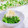 Satoco❋'s cooksnap of when they made 我が家の定番！菜の花おかか和え.