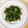 ˚✧₊⁎ゆう˚✧₊⁎'s cooksnap of when they made 捨てずに簡単！長ネギ青い部分の中華炒め.