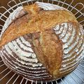 ヌーシ's cooksnap of when they made 全粒粉入りカンパーニュ.