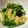 YUZU8120's cooksnap of when they made 小松菜とキャベツのサッと茹で＊海苔和え＊.