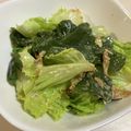 papikun's cooksnap of when they made レタスとたまねぎのおかかサラダ.