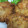 ささささ＆＊'s cooksnap of when they made 我が家のとんかつ.