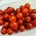 かのと's cooksnap of when they made ミニトマトの保存方法.