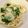 よねやまちか's cooksnap of when they made 万能♪ほうれん草ソース.