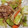 ヨシヨッシー's cooksnap of when they made 基本の野菜炒め.