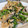 toshio39's cooksnap of when they made 豚肉と菜の花のオイスターソース炒め.