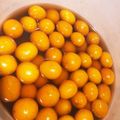 ユカtoマオマオ's cooksnap of when they made 和味☆金柑の甘露煮.