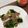 fujikoママ☆'s cooksnap of when they made ニンニクの葉と新玉ねぎと牛肉スタミナ炒め.