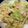クックMVXCM0☆'s cooksnap of when they made 海老ときゃべつのパスタ.