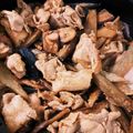 ハチミツぱる's cooksnap of when they made 豚肉とごぼうのオイスターソース炒め.