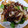 えみりんたん's cooksnap of when they made 牛肉と玉ねぎとピーマンのオイスター炒め.