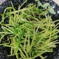 TAM☆CUBE's cooksnap of when they made レンジでかんたん♪豆苗の塩昆布ナムル.