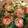 saki1010's cooksnap of when they made タイ風エビのサラダ２.