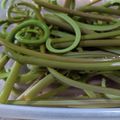 おっきー⭐'s cooksnap of when they made 簡単なゼンマイのあく抜き.
