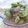 もすろー's cooksnap of when they made そら豆のガーリック炒め.