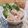 inyako's cooksnap of when they made 海老マヨ★隠し味はマーマレードジャム.