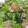 クック6DDPP8☆'s cooksnap of when they made パパッと♪えびと青梗菜のマヨ炒め.