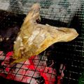 なっさん姫's cooksnap of when they made ブリカマで【ブリのカマ焼き（塩）】.