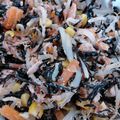 かなくんマミー's cooksnap of when they made ひじきともやしの5品目胡麻マヨサラダ.