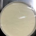 クックAPO29X☆'s cooksnap of when they made 簡単！濃厚！とろけるレアチーズケーキ♡.
