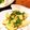 木漏れ日の台所's cooksnap of when they made 農園レシピ・たけのこの煮物.