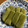 moca0713's cooksnap of when they made レンジで簡単 抹茶 ういろう.