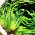 sysrh's cooksnap of when they made ほうれん草の茹で方♡.