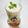 ＠迷子＠'s cooksnap of when they made バナナの豆乳スムージー.