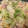 ハミングバード91's cooksnap of when they made キャベツと豚ひき肉の卵炒め.