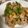 クック1K2O57☆'s cooksnap of when they made 豚コマ蓮根炒め.