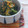 もすろー's cooksnap of when they made 食用菊とほうれん草のくるみ和え.