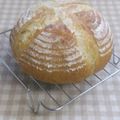 umemodoki's cooksnap of when they made 全粒粉入りカンパーニュ.