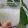 ｍｏｇｒｉｎ's cooksnap of when they made 糀甘酒入りいちごとバナナのスムージー.