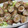 クック8J0LFQ☆'s cooksnap of when they made 巻き巻き生姜焼き.