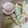 クックH86AFM☆'s cooksnap of when they made 加糖ヨーグルトのマカロニサラダ.