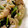 MULA's cooksnap of when they made 簡単あと1品！鶏皮エリンギほうれん草.