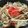 yokoyoko76's cooksnap of when they made 基本の焼きうどんはお好みソースで！.