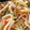 ハッピ～369嬢's cooksnap of when they made 我が家の焼きうどん.